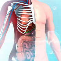 Aging Test / Free Radical Test