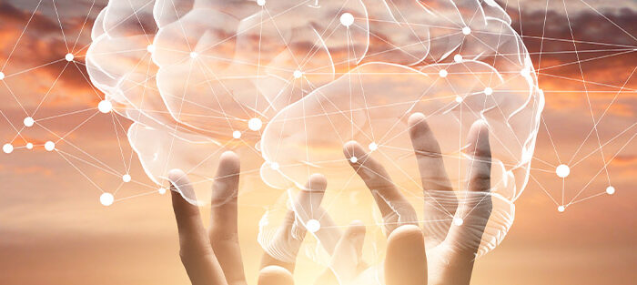 Feinstaub und Mikroplastik im Gehirn - mobile Luftreiniger und Wasserfilter