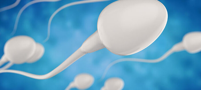 Banner Fruchtbarkeit Sperma