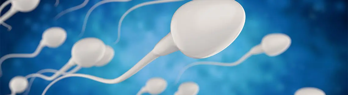 Banner Fruchtbarkeit Sperma