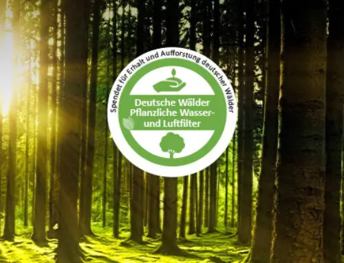 Spendenkonzept für den Erhalt und Aufforstung deutscher Wälder