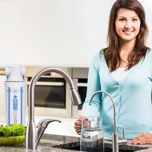 Water filter against limescale and bacteria