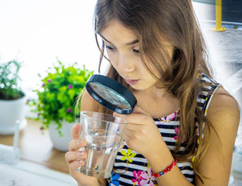 Nitrates Pesticides Medicines Hormones: Dangers in drinking water