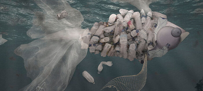 Mikroplastik im Meer