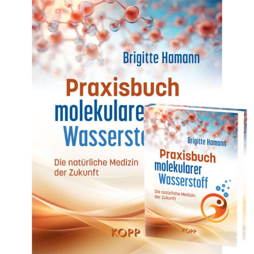 Praxisbuch molekularer Wasserstoff von Brigitte Hamann mit Buchcover