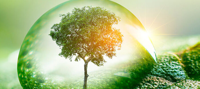 UNESCO Viva con Agua Umwelt Wasser Baum